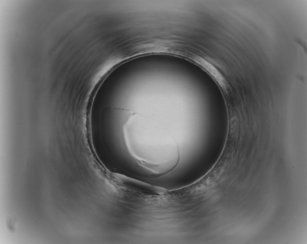 X0000091171051200708161455