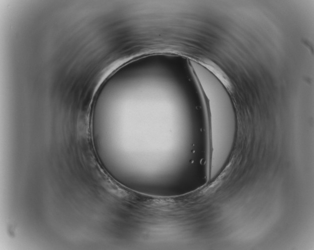 X0000091171052200708161455