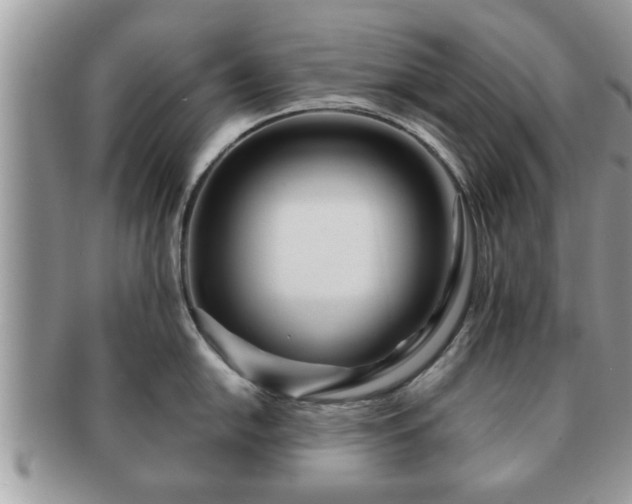 X0000091171054200708161455