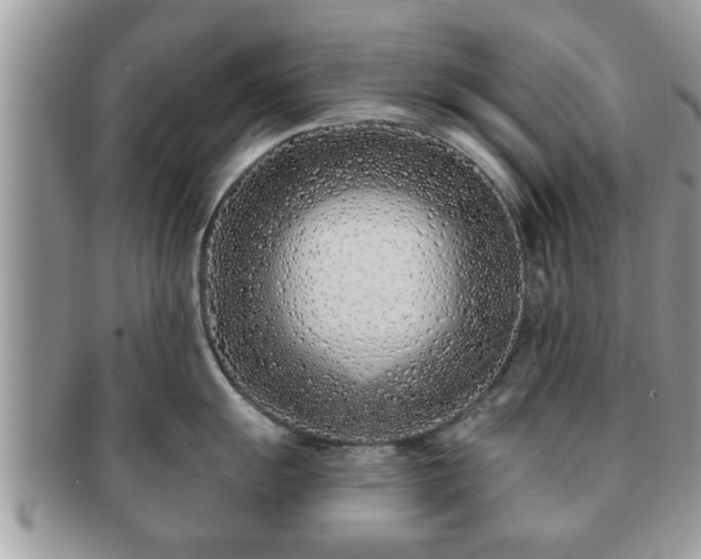 X0000091171055200708161455