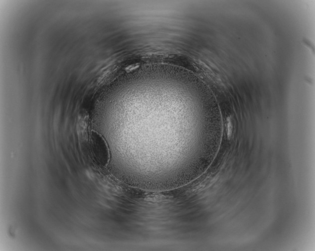 X0000091171059200708161455