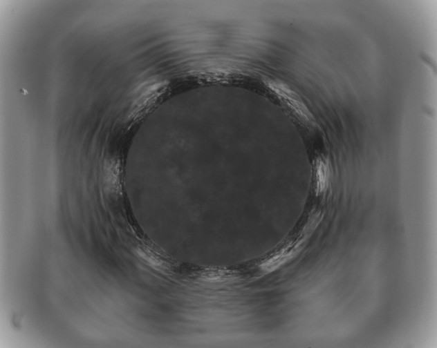 X0000091171060200708161455