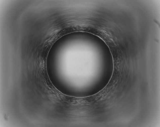 X0000091171061200708161455