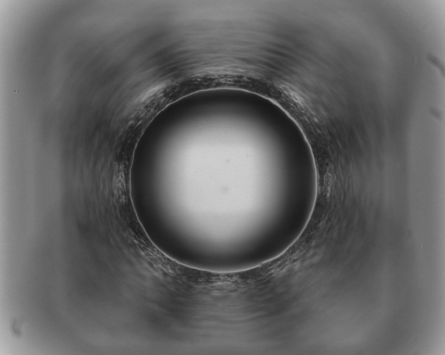 X0000091171062200708161455