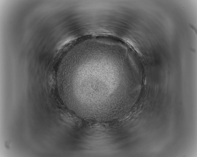 X0000091171063200708161455