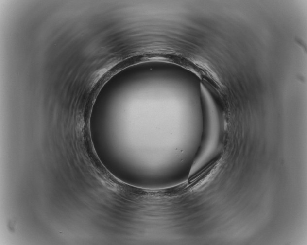 X0000091171065200708161454