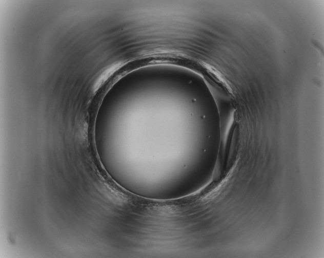 X0000091171066200708161454