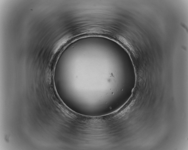 X0000091171067200708161454