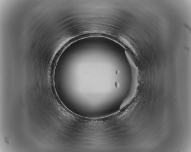 X0000091171068200708161454