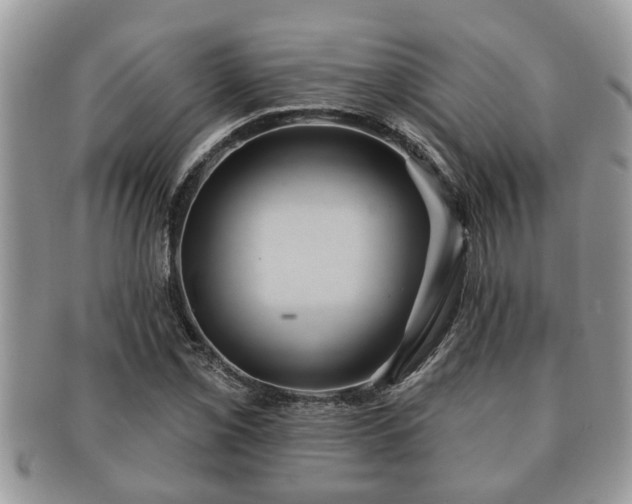 X0000091171069200708161454