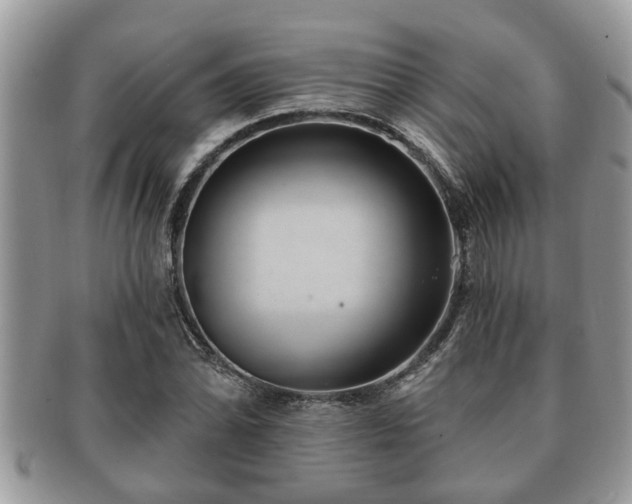 X0000091171070200708161454