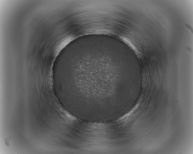 X0000091171071200708161454