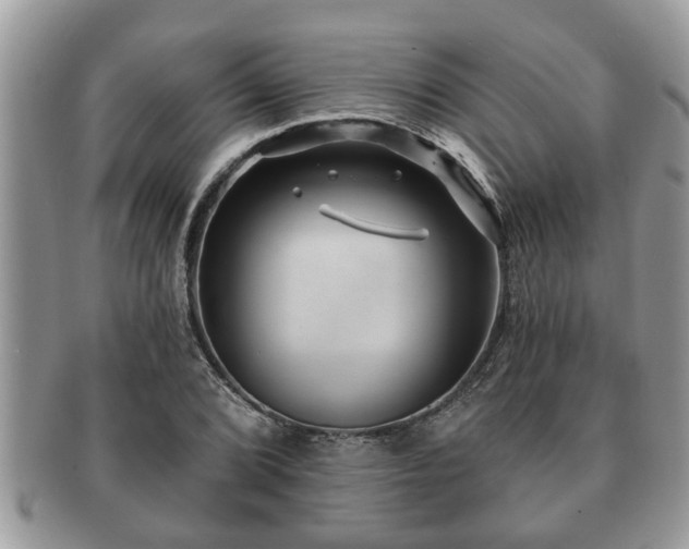 X0000091171072200708161454