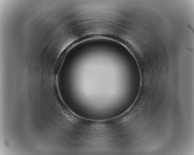 X0000091171073200708161454