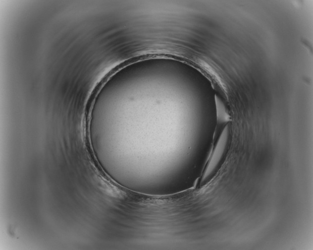 X0000091171076200708161454