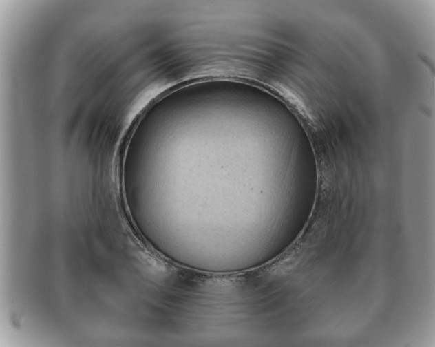 X0000091171078200708161454