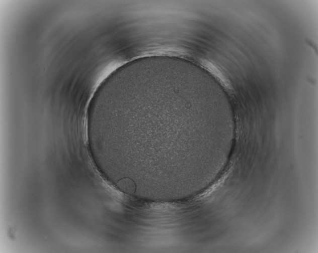 X0000091171079200708161454