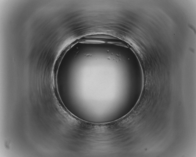 X0000091171080200708161454