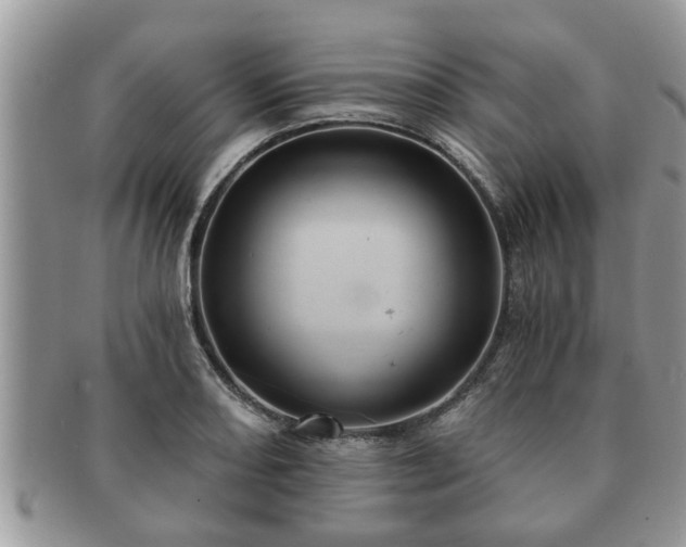 X0000091171082200708161454