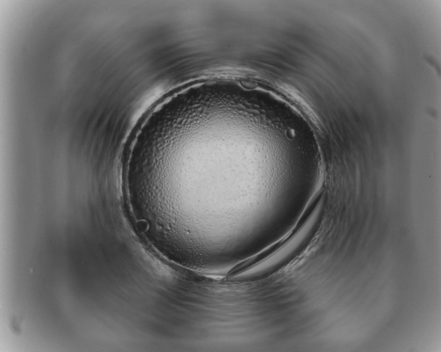 X0000091171083200708161454