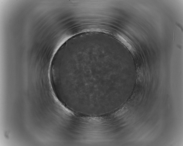 X0000091171084200708161454