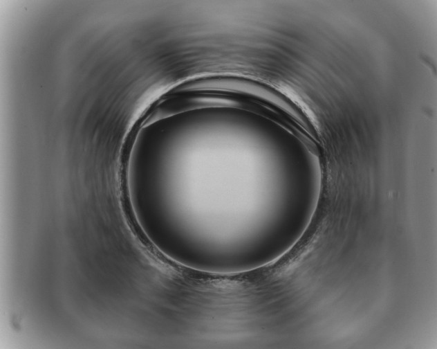 X0000091171085200708161454