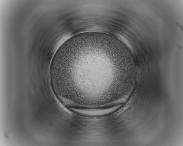 X0000091171087200708161454