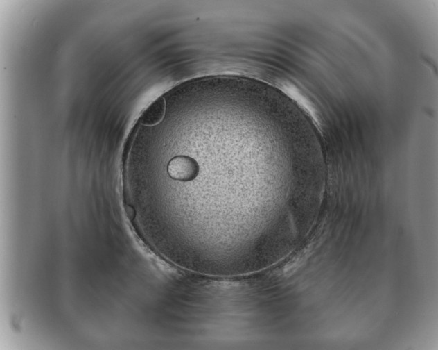 X0000091171088200708161454