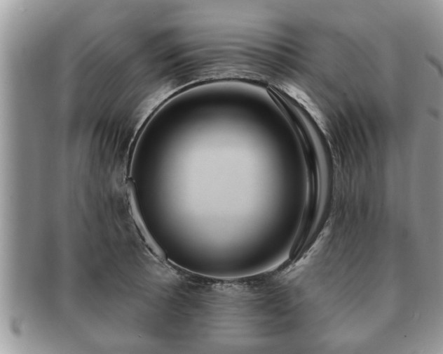 X0000091171089200708161454