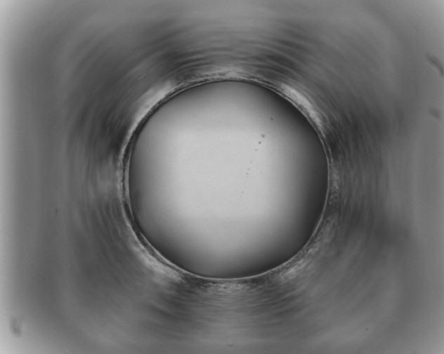 X0000091171090200708161454