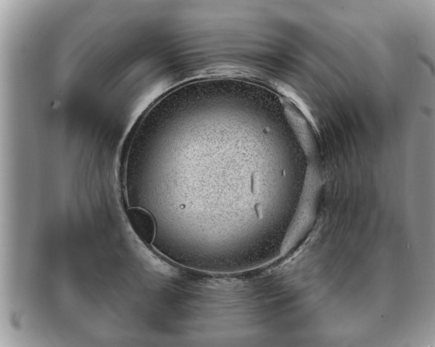 X0000091171091200708161454