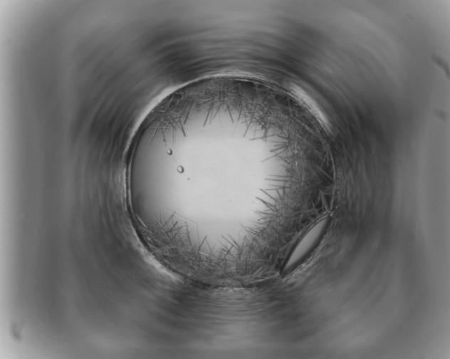 X0000091171092200708161454