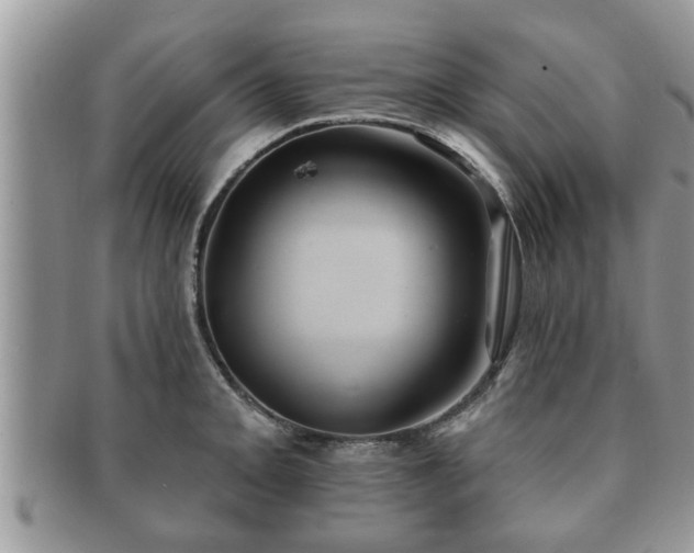 X0000091171093200708161454