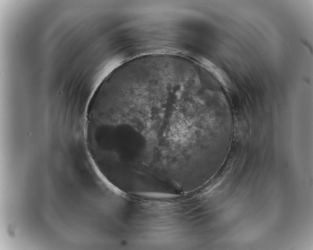 X0000091171095200708161454