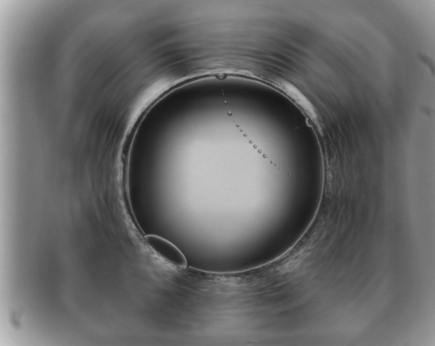 X0000091171096200708161454