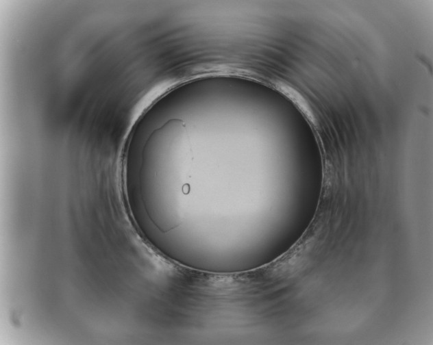 X0000091171098200708161454