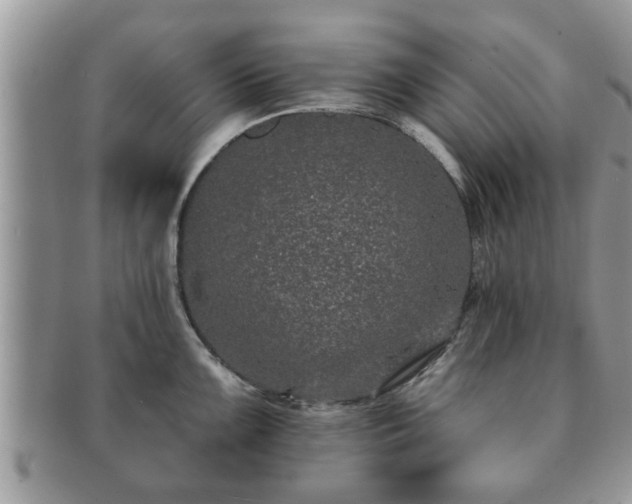 X0000091171099200708161454