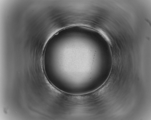 X0000091171100200708161454