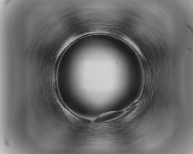 X0000091171101200708161454