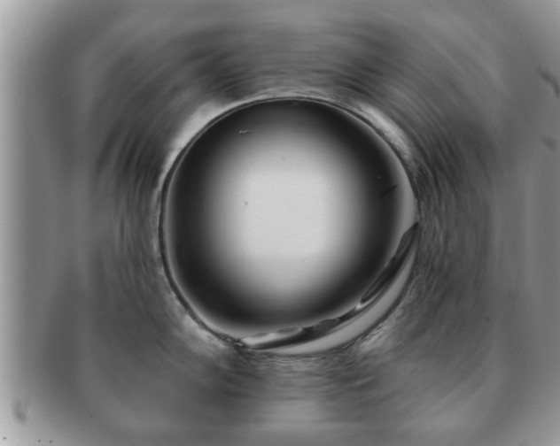 X0000091171102200708161454