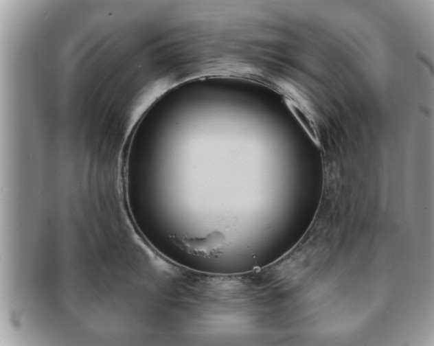 X0000091171103200708161454