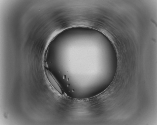 X0000091171104200708161454