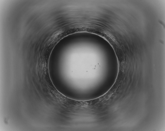 X0000091171111200708161454