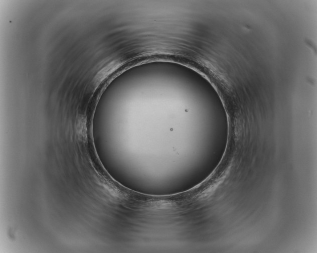 X0000091171113200708161454