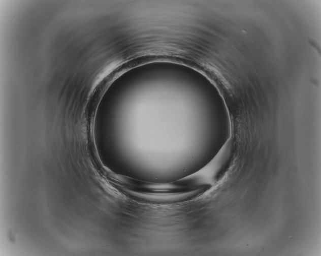 X0000091171114200708161454