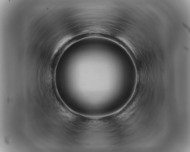 X0000091171115200708161454