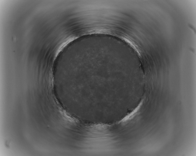 X0000091171117200708161454