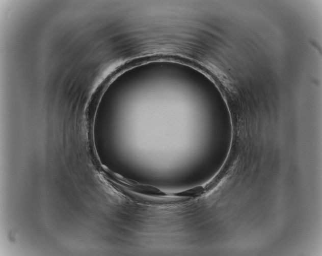 X0000091171118200708161454