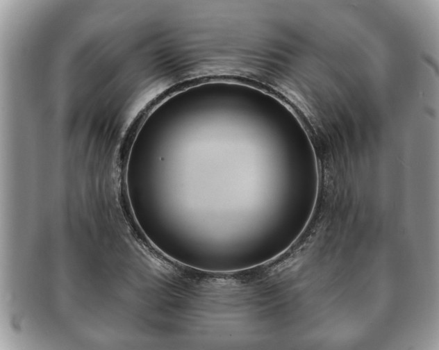 X0000091171119200708161454