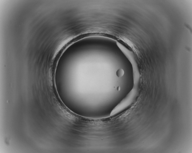 X0000091171120200708161454